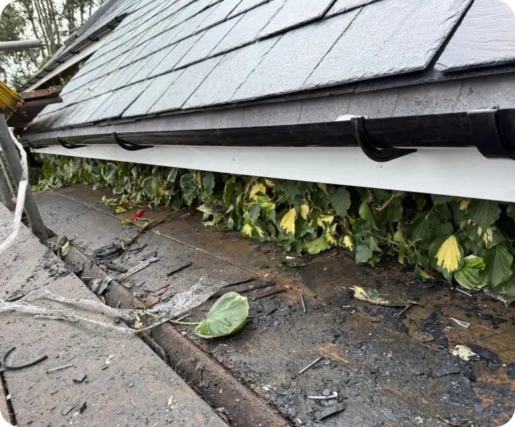gutter